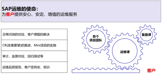 SAP实施、开发和运维一体化服务
