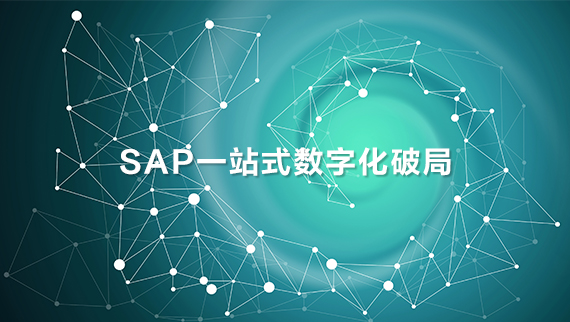 ERP / SAP / ITO