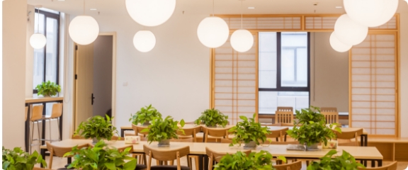 公司概况