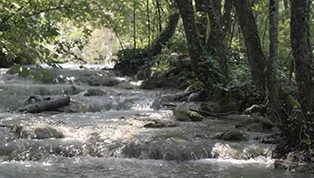 克羅地亞世界遺產 – 原始森林與湖水的和聲共鳴 –