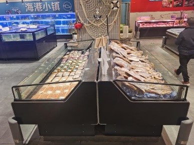 鱼类展示区