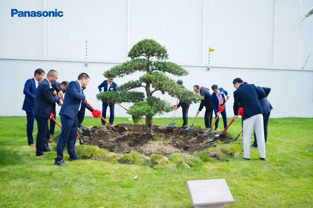 植树培土 植树培土