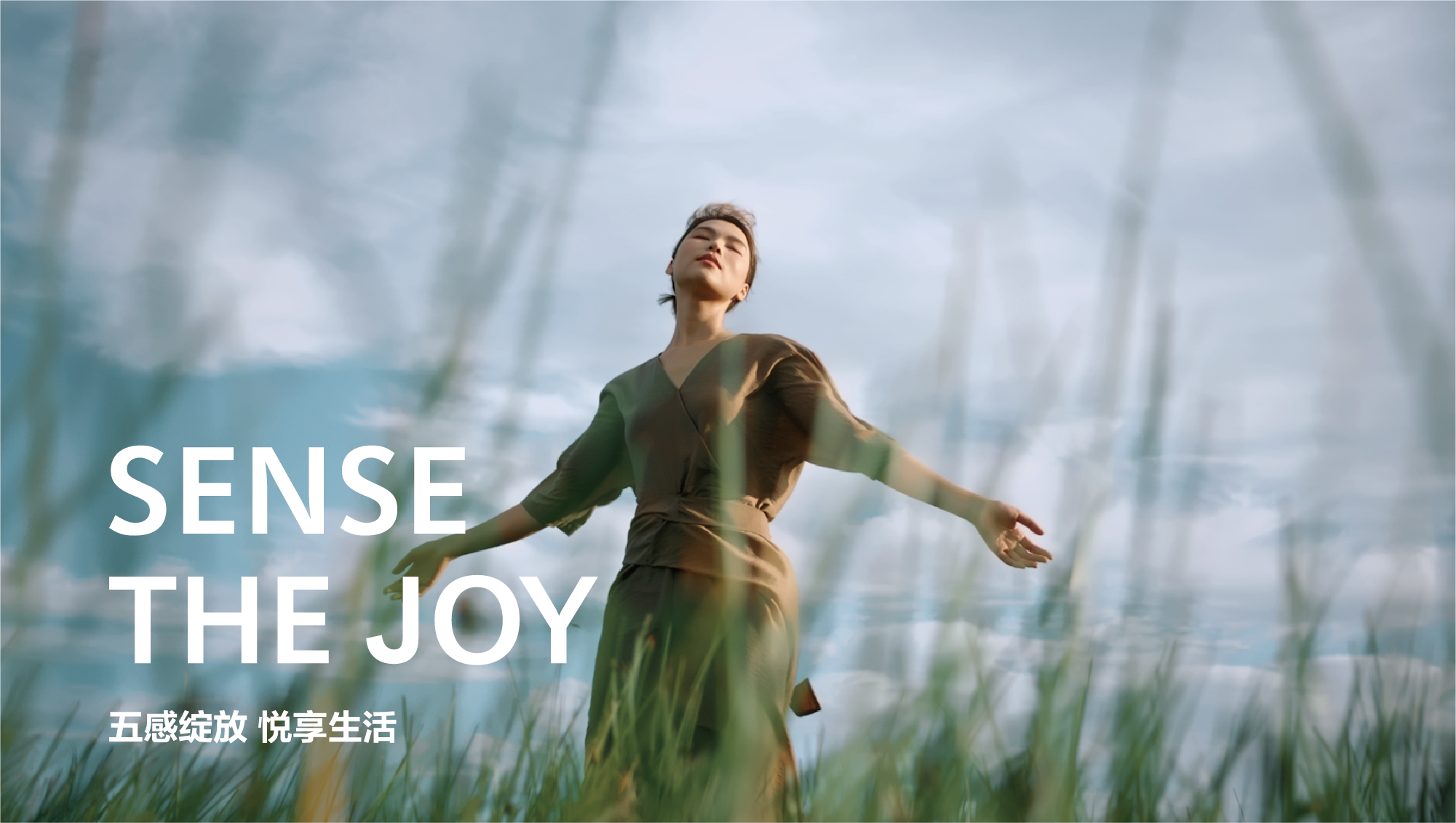 五感绽放 悦享生活