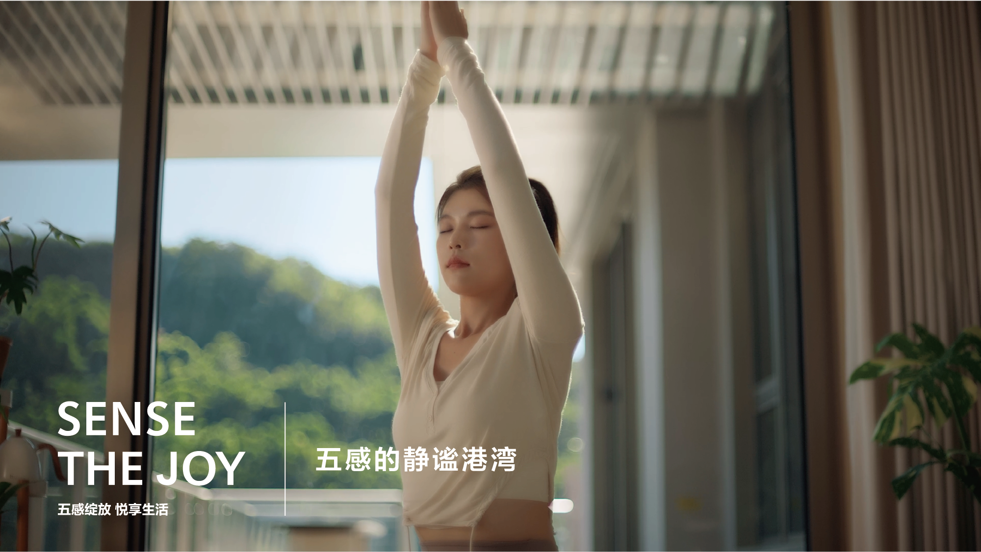 五感的静谧港湾
